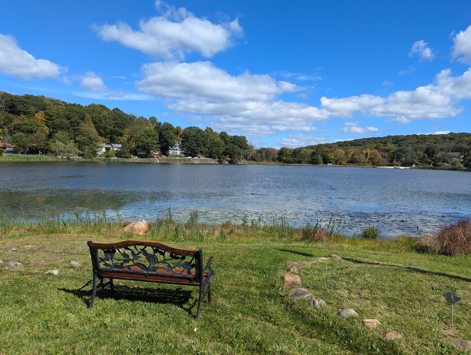 A bench overlooking Sparta Lake and the wooded shoreline